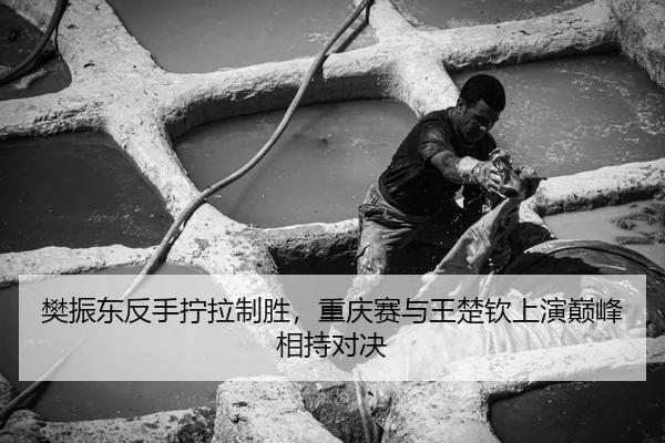 fan-zhen-dong-fan-shou-ning-la-zhi-sheng-chong-qing-sai-yu-wang-chu-qin-shang-yan-dian-feng-xiang-chi-dui-jue-3-501.jpg