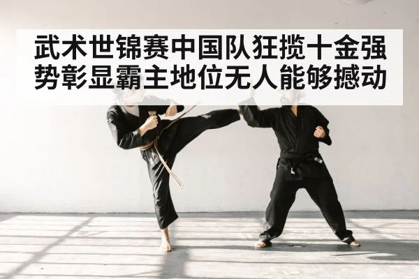 武术世锦赛中国队狂揽十金强势彰显霸主地位无人能够撼动